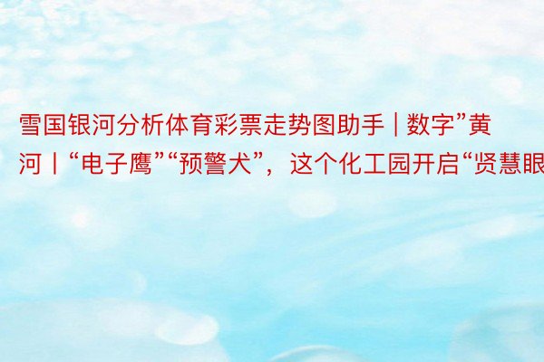 雪国银河分析体育彩票走势图助手 | 数字”黄河丨“电子鹰”“预警犬”，这个化工园开启“贤慧眼”
