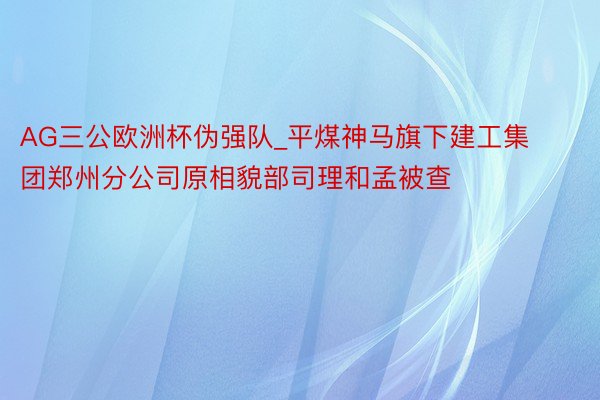 AG三公欧洲杯伪强队_平煤神马旗下建工集团郑州分公司原相貌部司理和孟被查