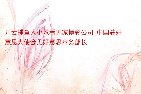 开云捕鱼大小球看哪家博彩公司_中国驻好意思大使会见好意思商务部长