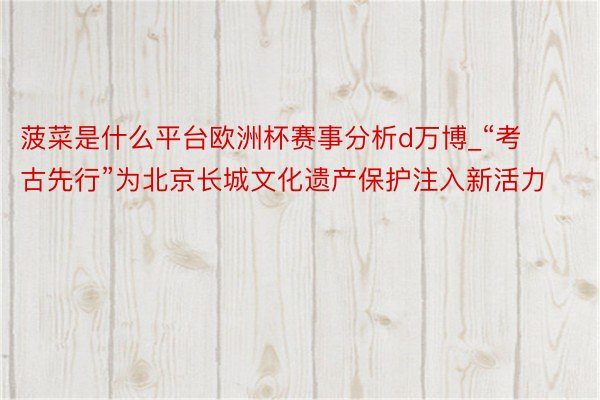 菠菜是什么平台欧洲杯赛事分析d万博_“考古先行”为北京长城文化遗产保护注入新活力
