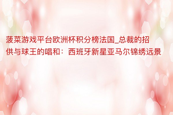 菠菜游戏平台欧洲杯积分榜法国_总裁的招供与球王的唱和：西班牙新星亚马尔锦绣远景