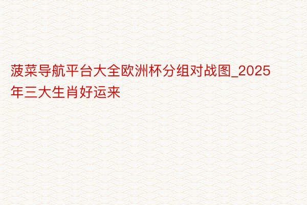 菠菜导航平台大全欧洲杯分组对战图_2025年三大生肖好运来